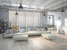 Load image into Gallery viewer, Zebra Blinds