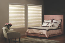 Load image into Gallery viewer, Zebra Blinds
